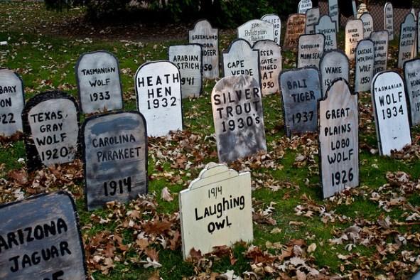 Designed for Anxiety 1